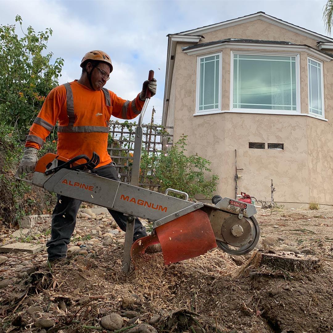 1 Tree Service San Diego CA Tree Removal San Diego CA