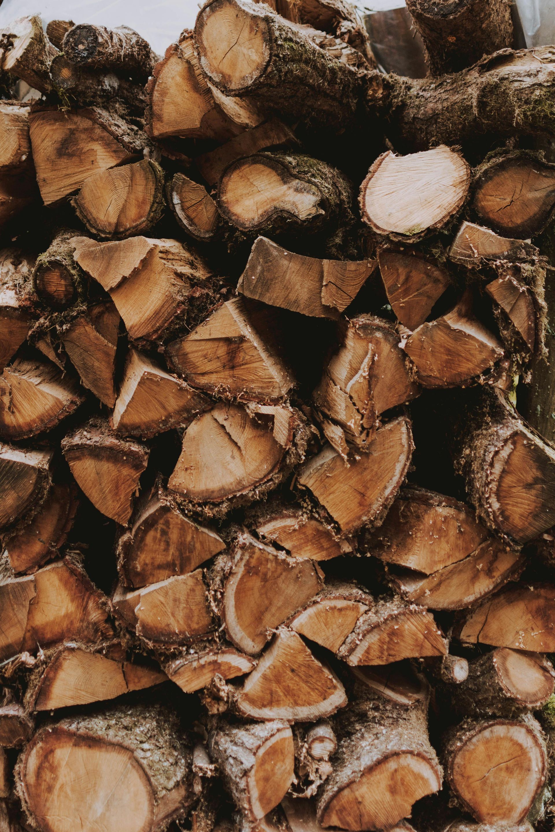 Pile of freshly cut firewood logs, brown and stacked outdoors.