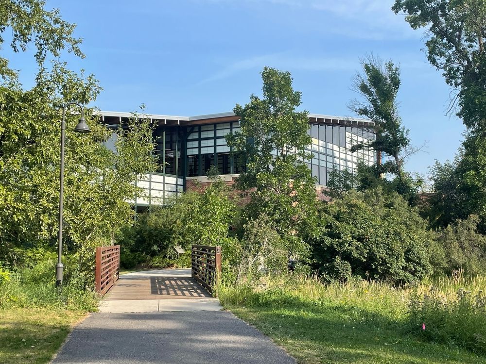 A modern building with large windows is visible beyond a bridge and greenery on a sunny day.