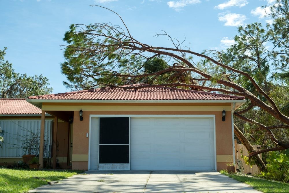 A house with a large tree branch fallen on the roof and garage door; damage from a storm.