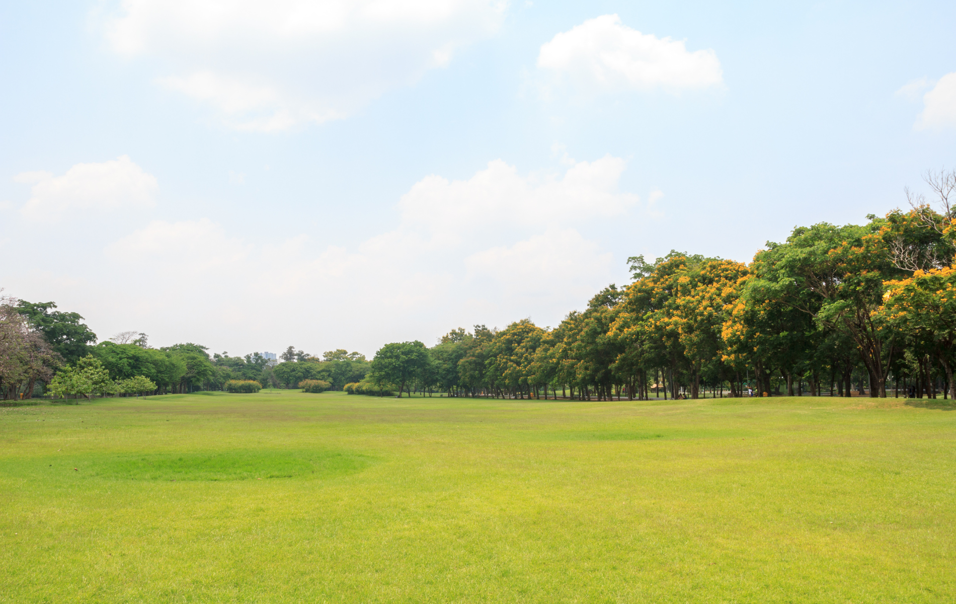 There is a large grassy field in the middle of a park with trees in the background.