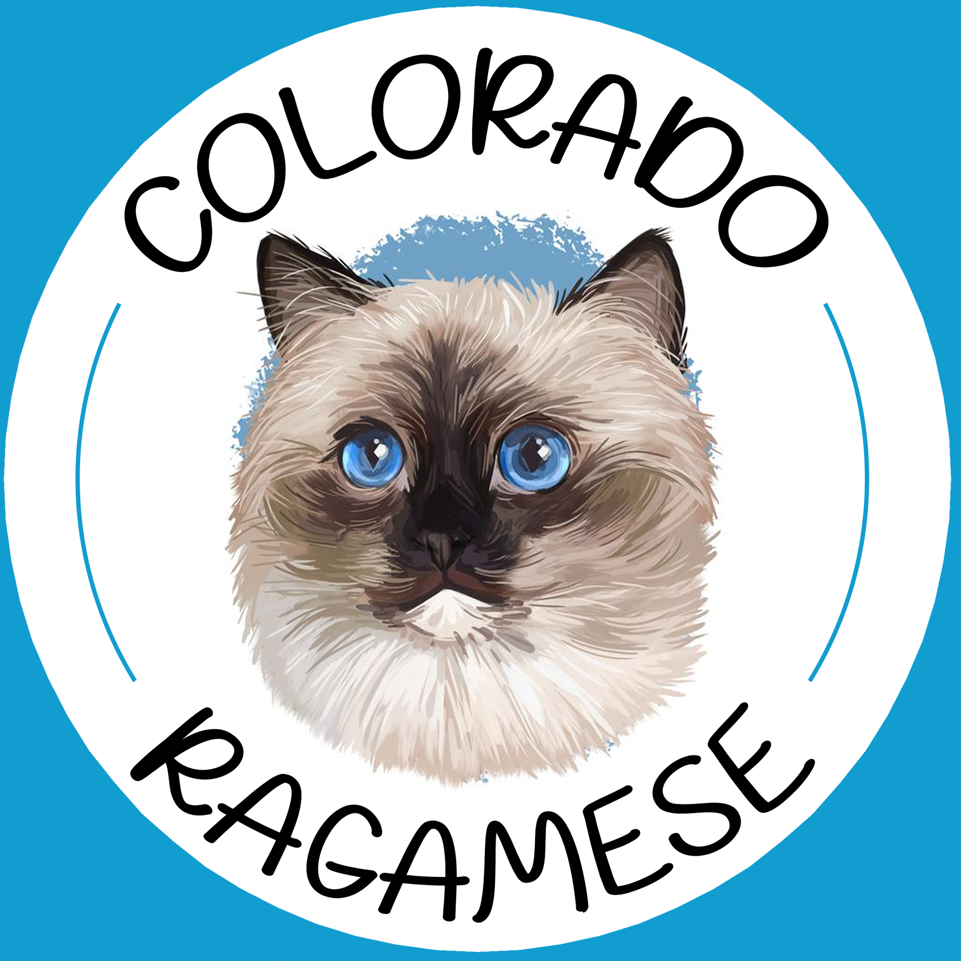 A colorado ragdoll cat with blue eyes in a circle
