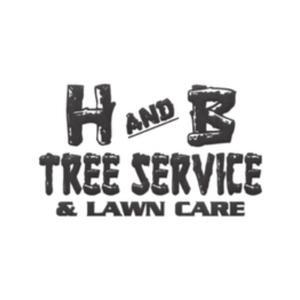 H & B Basic Website