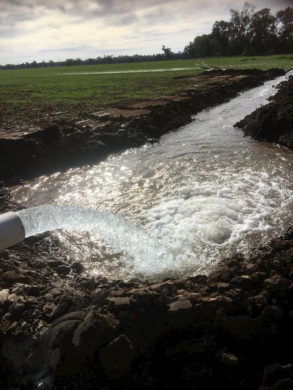 Water Bore Flowing Through Ground — Water Bore Construction & Drilling in Dubbo, NSW