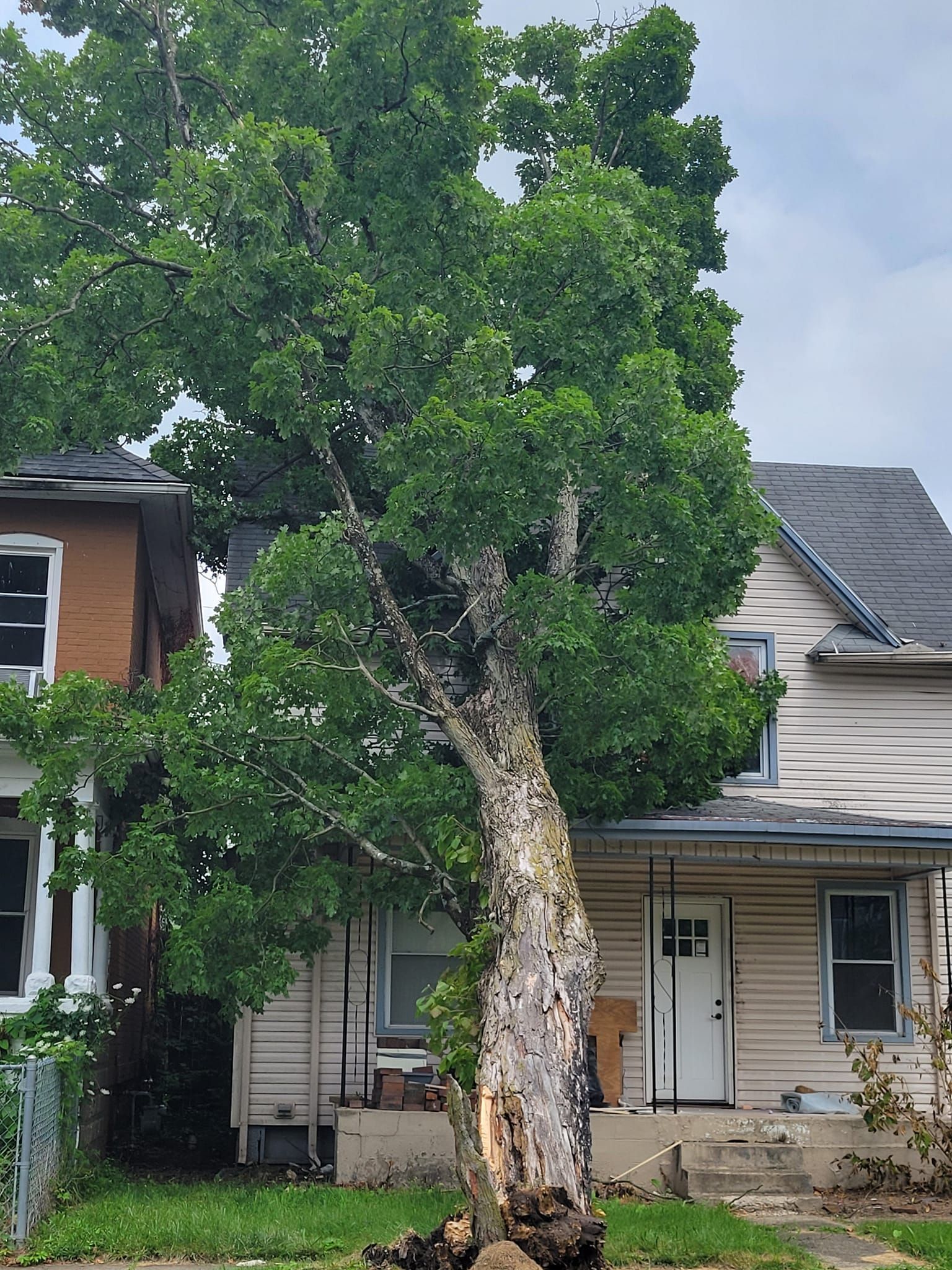 Emergency Tree Service Newark, OH Licking County Ohio