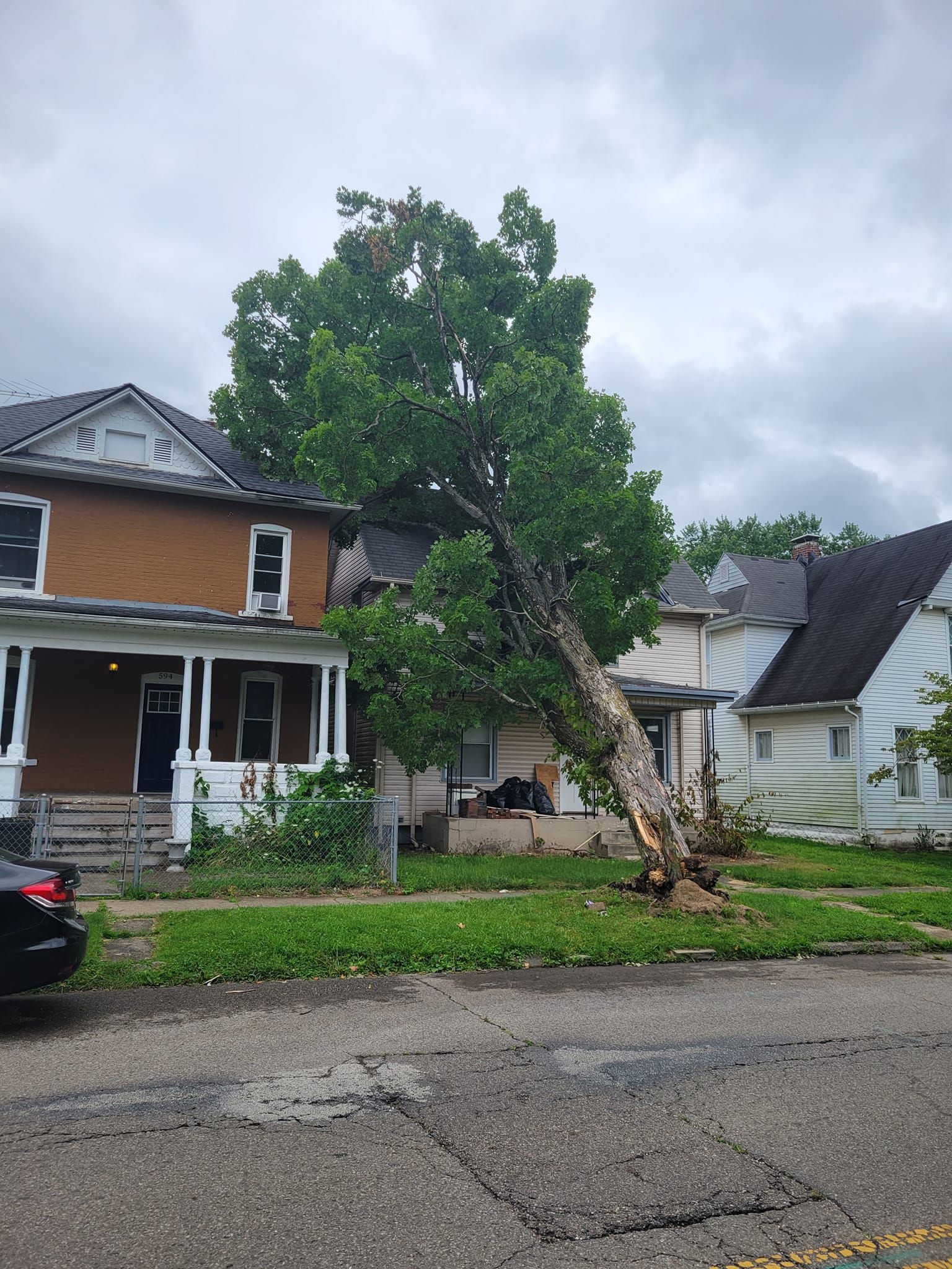 Emergency Tree Removal Company Newark Ohio, Licking County Ohio