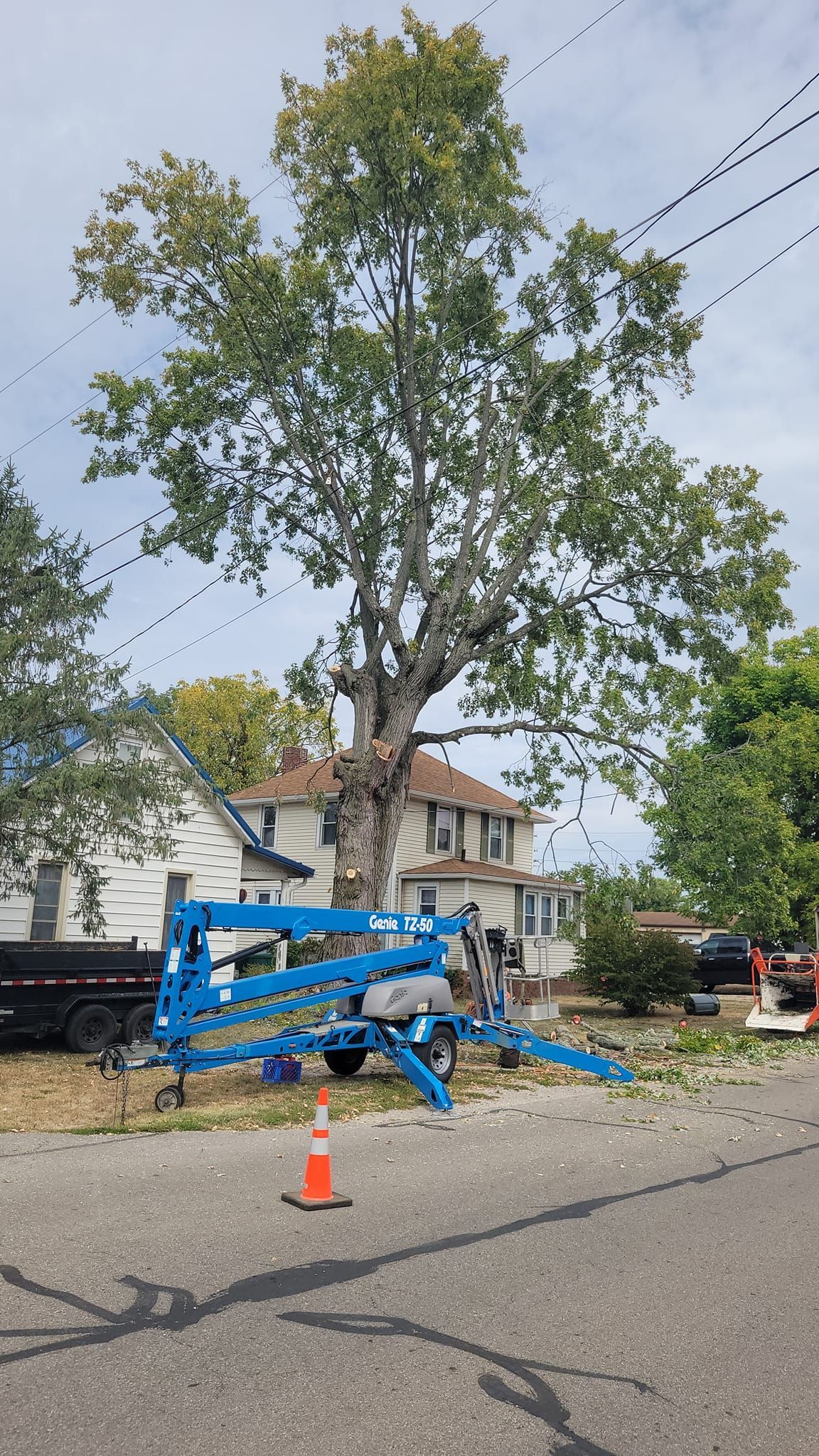 Tree Trimming Company Newark OH Licking Count