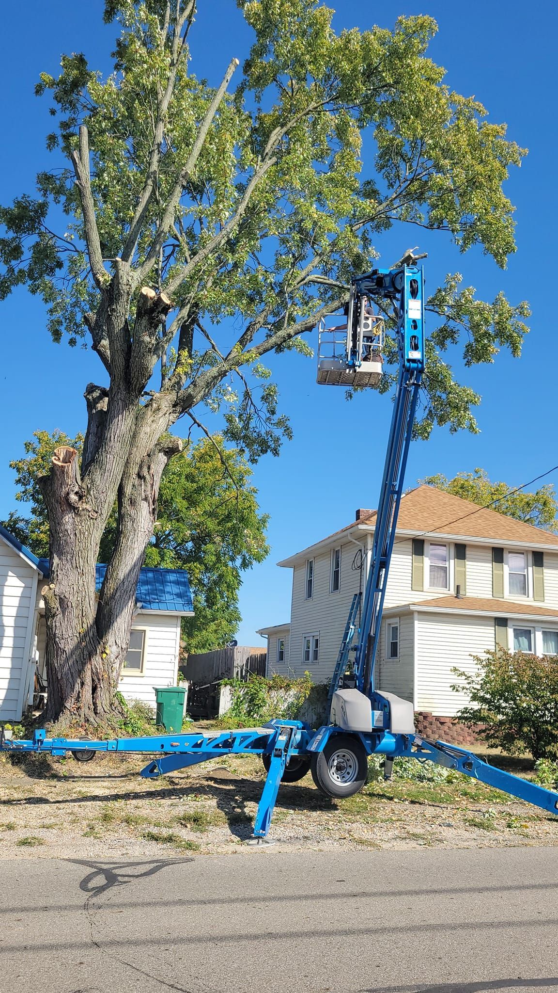 Tree Pruning Newark OH Licking Count