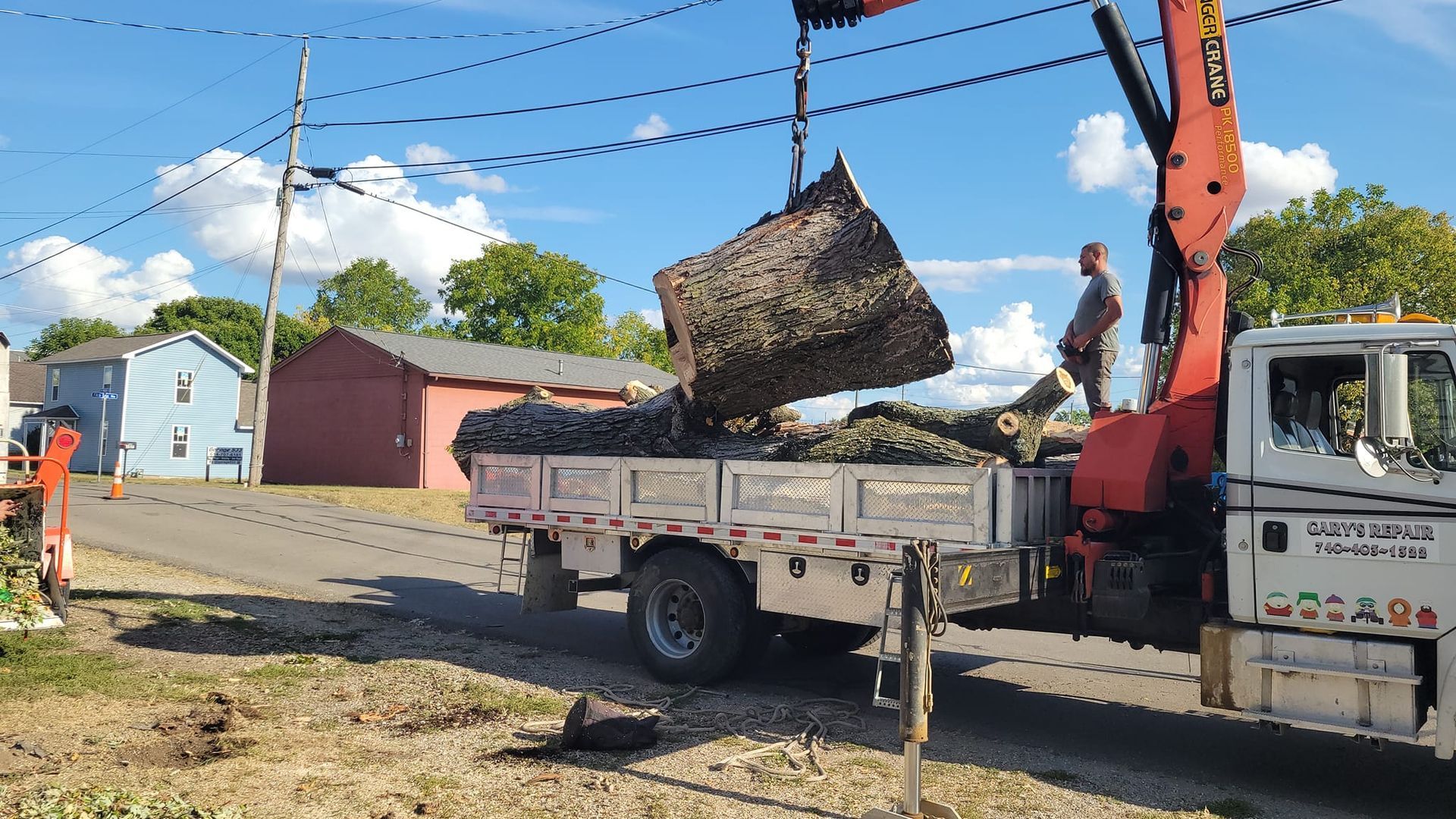 Tree Removal Newark Ohio Licking County