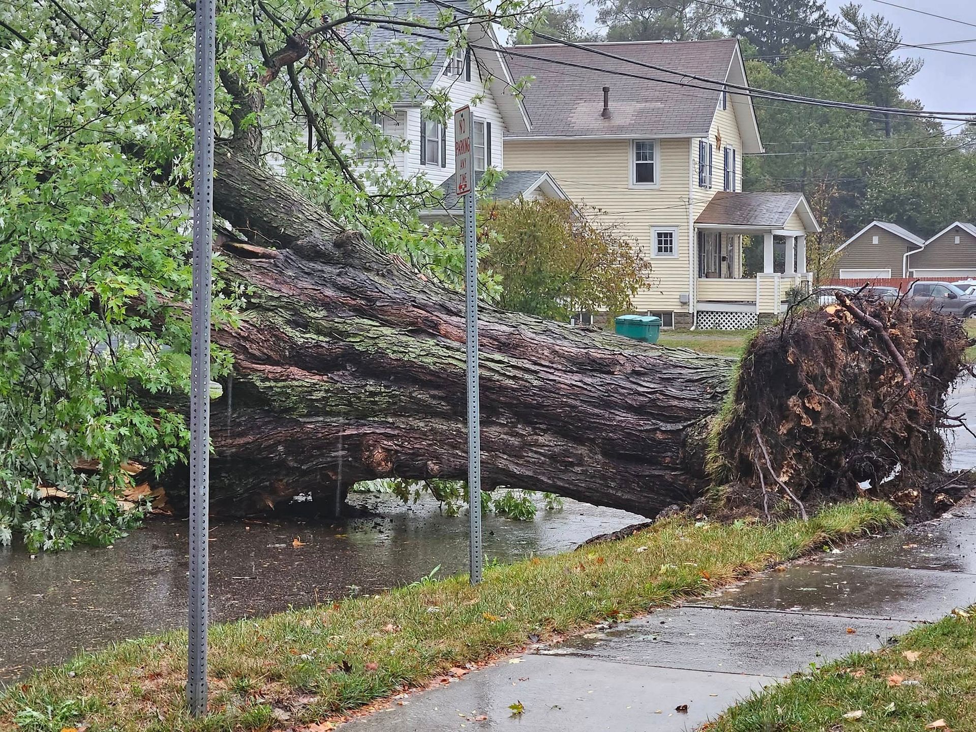 Emergency Tree Service Newark Ohio, Licking County Ohio