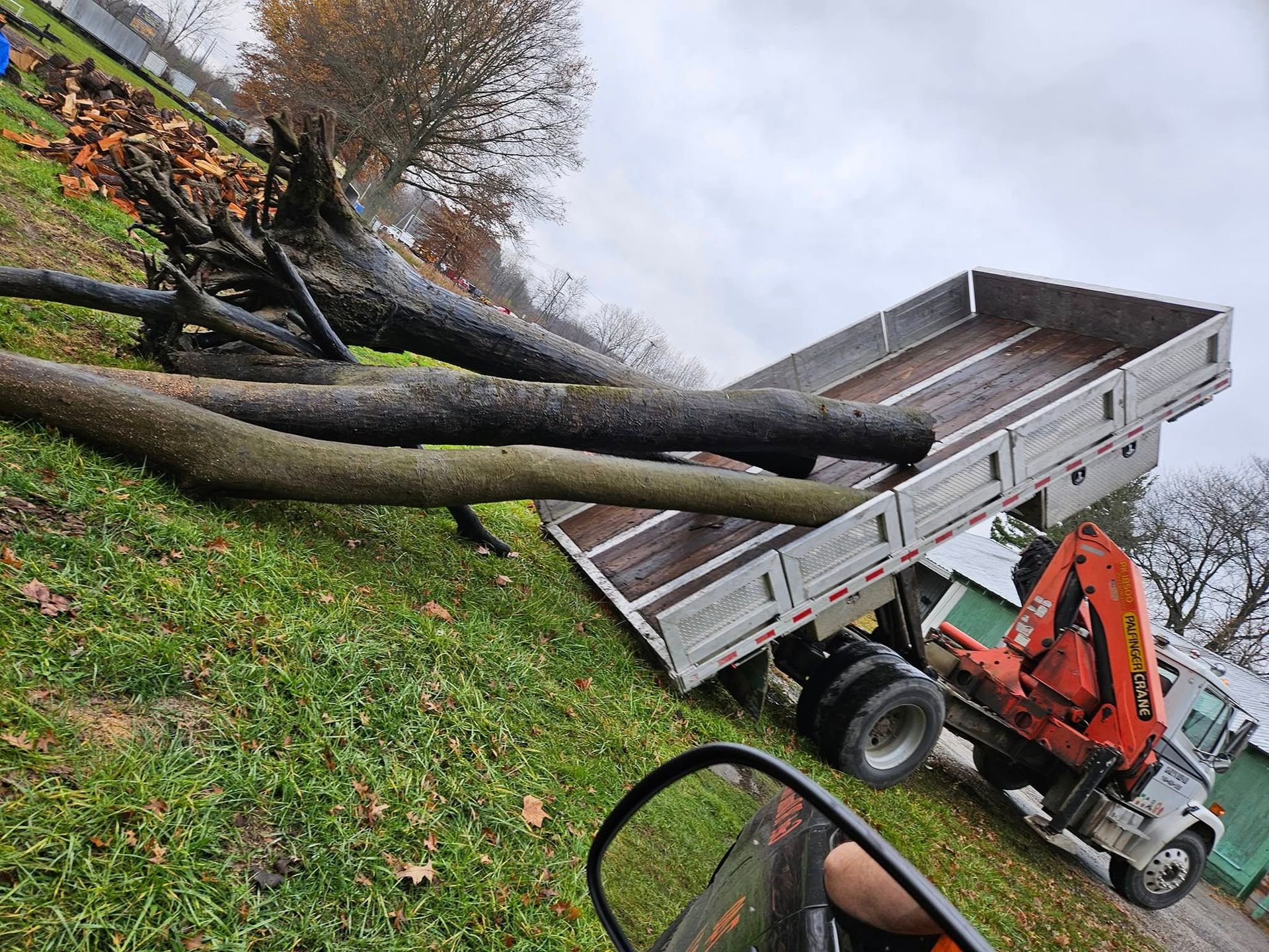 Tree Removal Newark Ohio Licking County