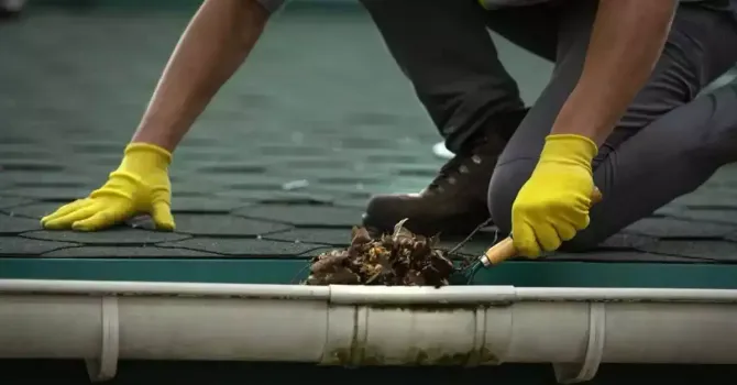 Close-up of gloved hands removing leaves from a roof gutter.