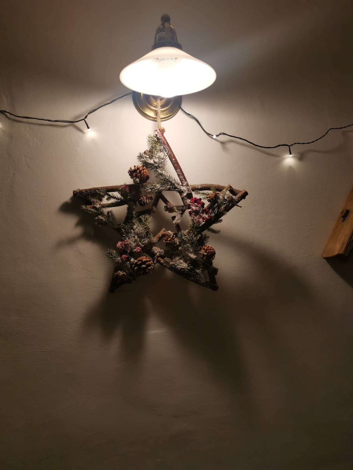 Weihnachtsstern unter einer Lampe