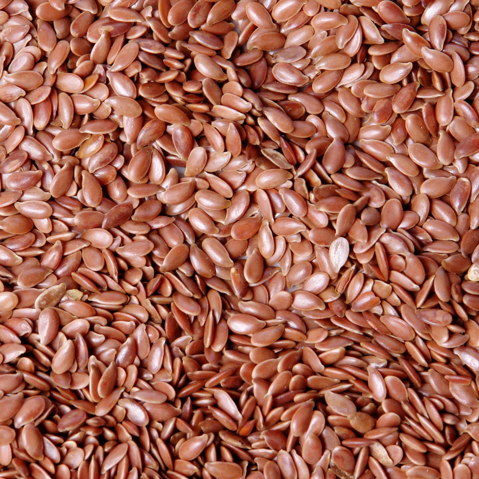 Linseed