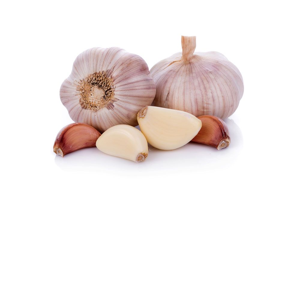 Garlic