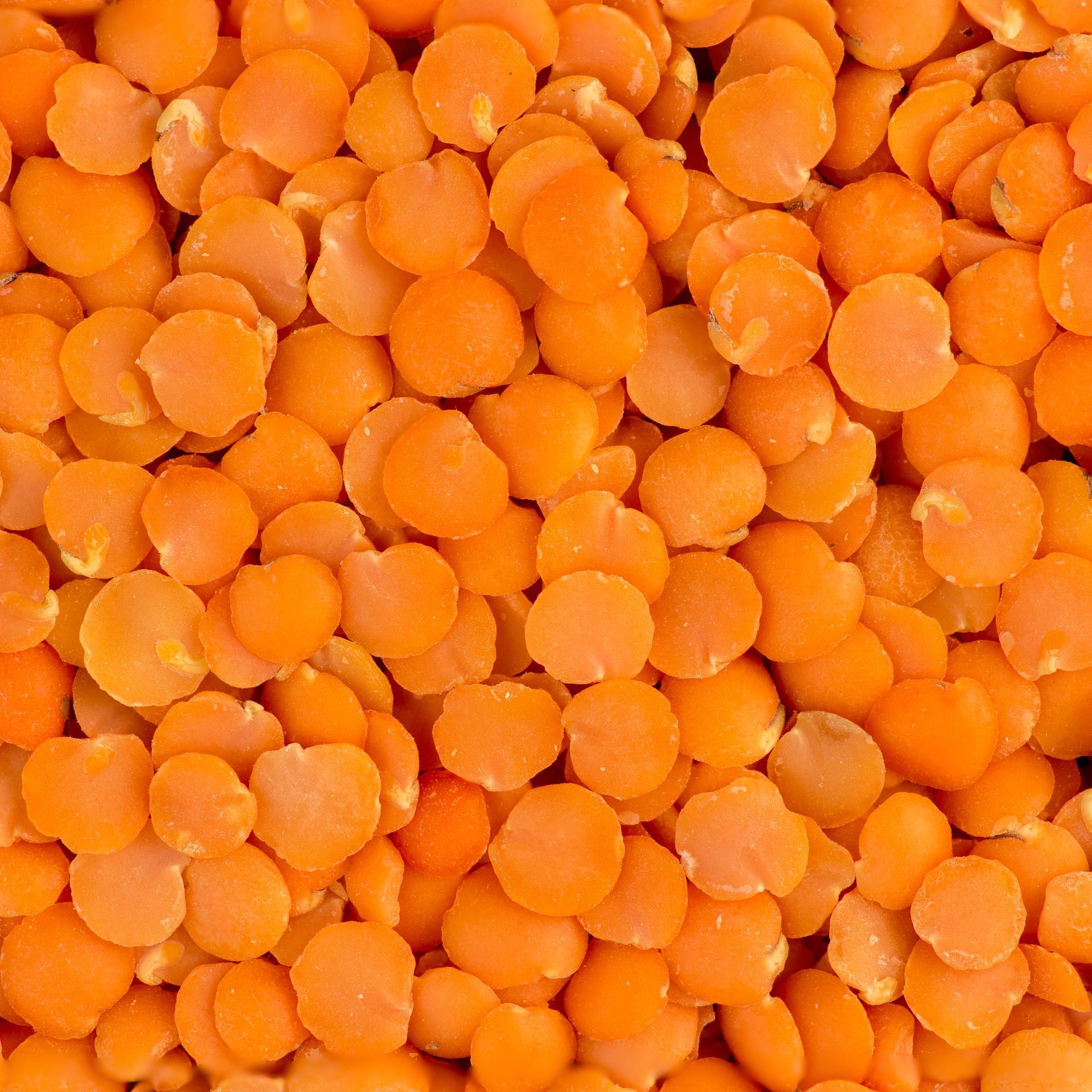 Red Split Lentils