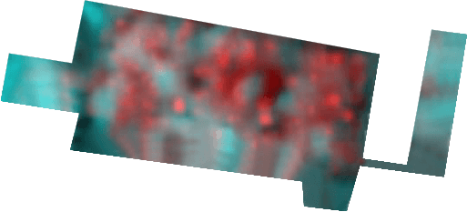 Crude Oil market analysis dashboard
