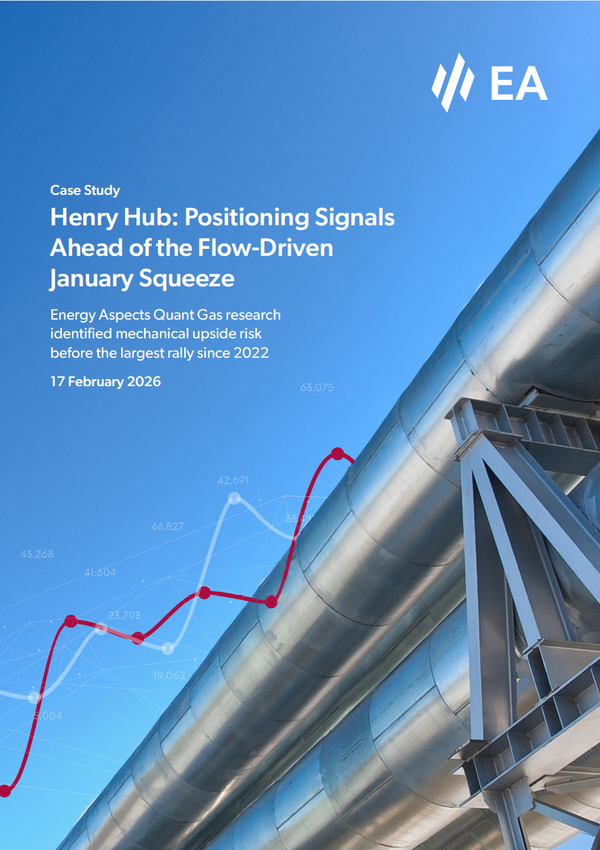 Henry Hub: Positioning Signals Ahead of the Flow-Driven January Squeeze