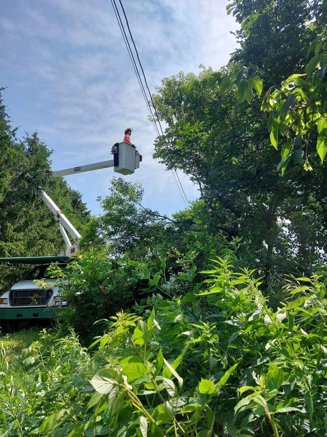 Un homme dans un seau coupe un arbre.