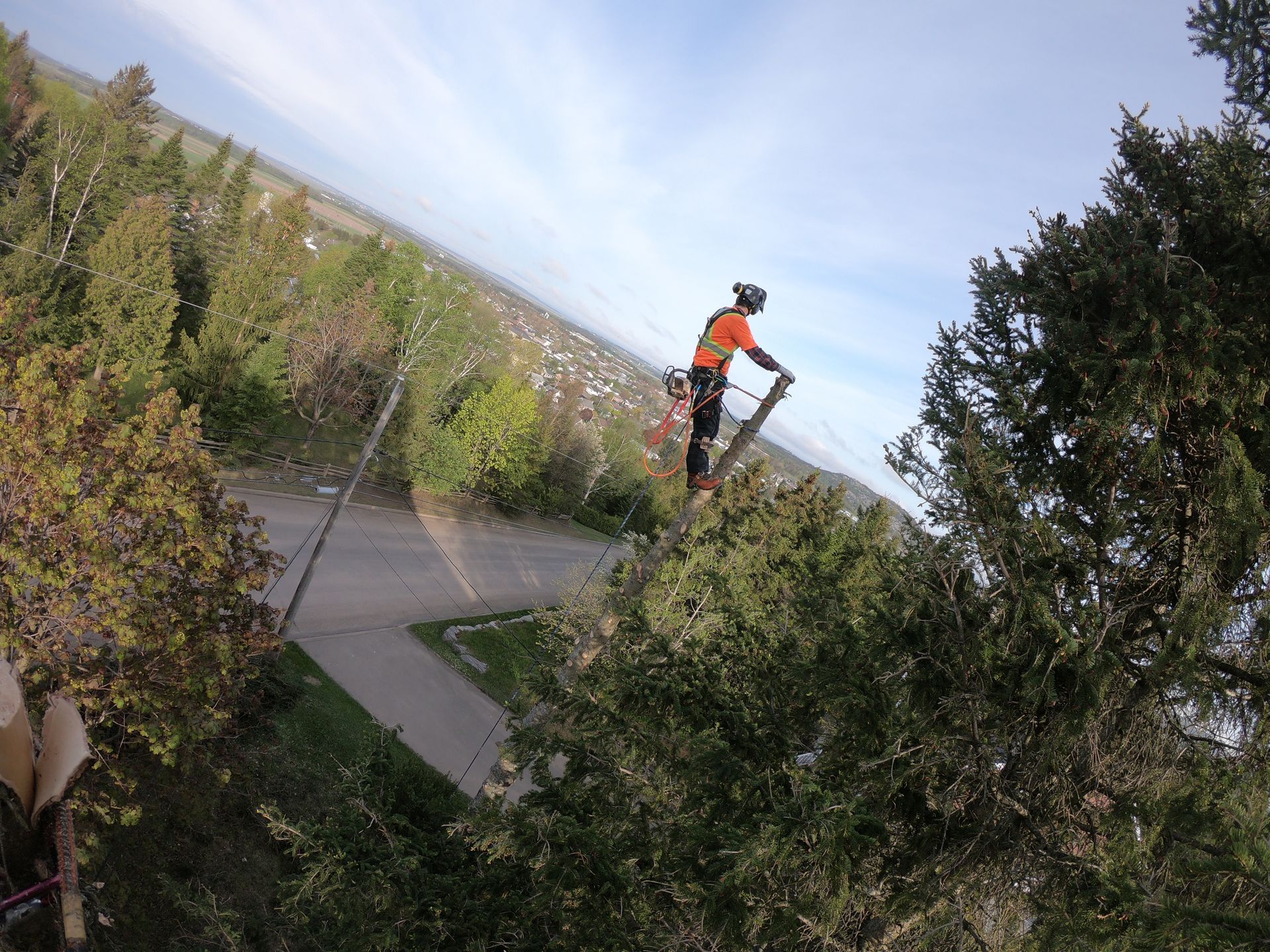 Un homme se tient au sommet d'un arbre avec une tronçonneuse.