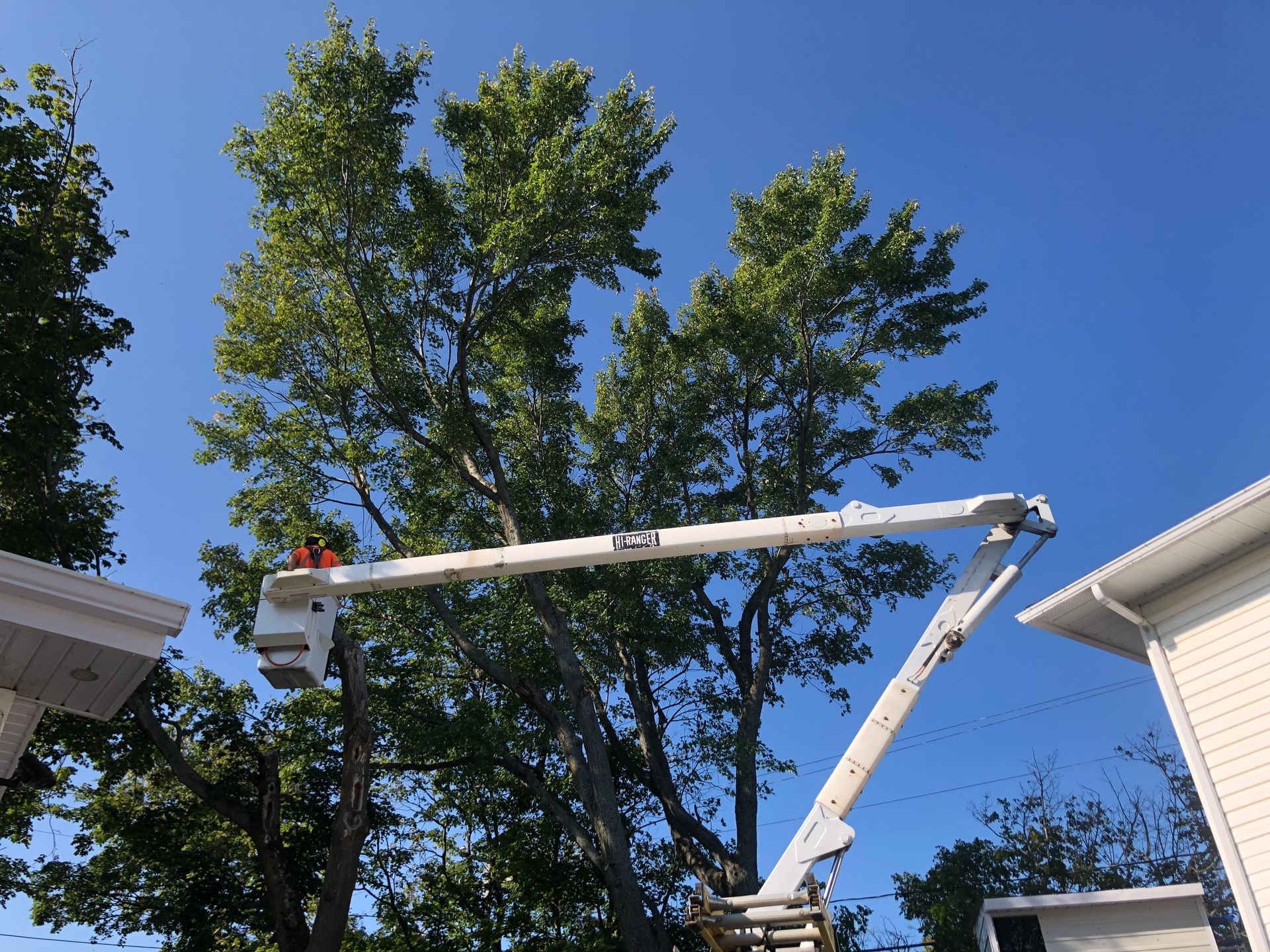 Un homme coupe un arbre avec une grue devant une maison.