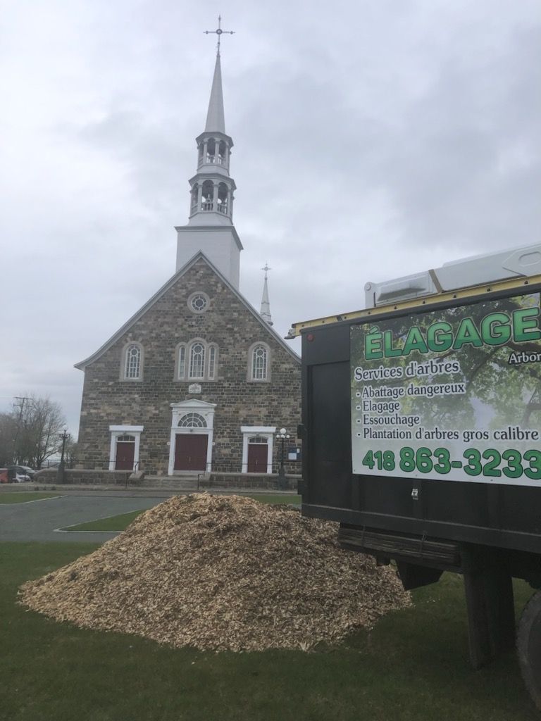 Un gros tas de copeaux de bois se trouve devant une église.
