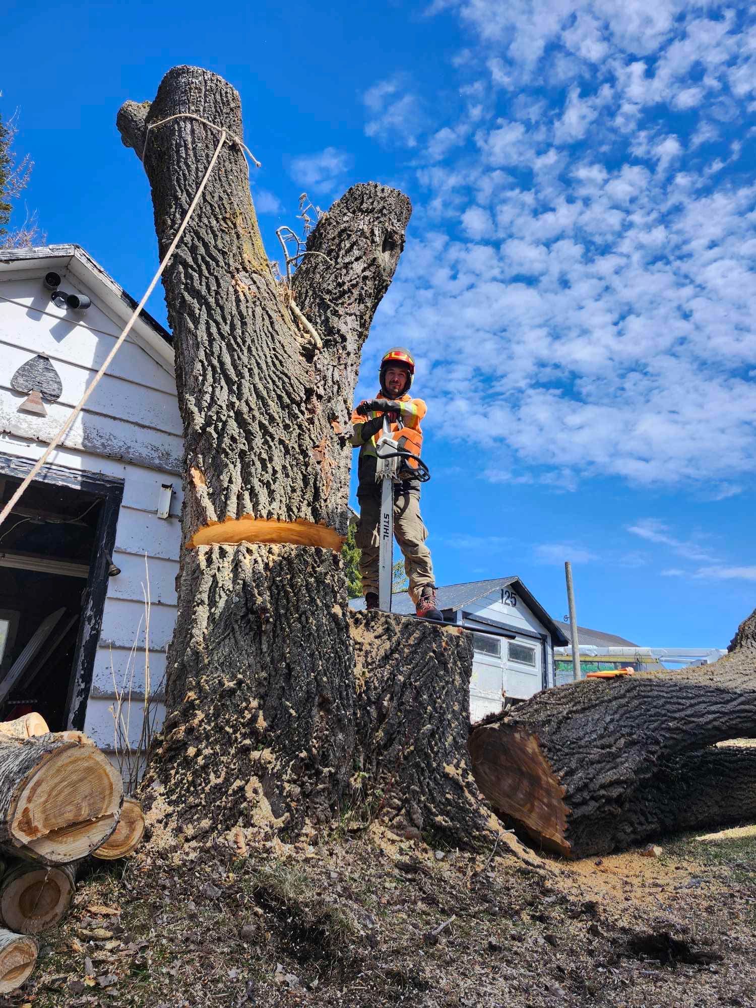 Un homme coupe un arbre avec une tronçonneuse devant une maison.