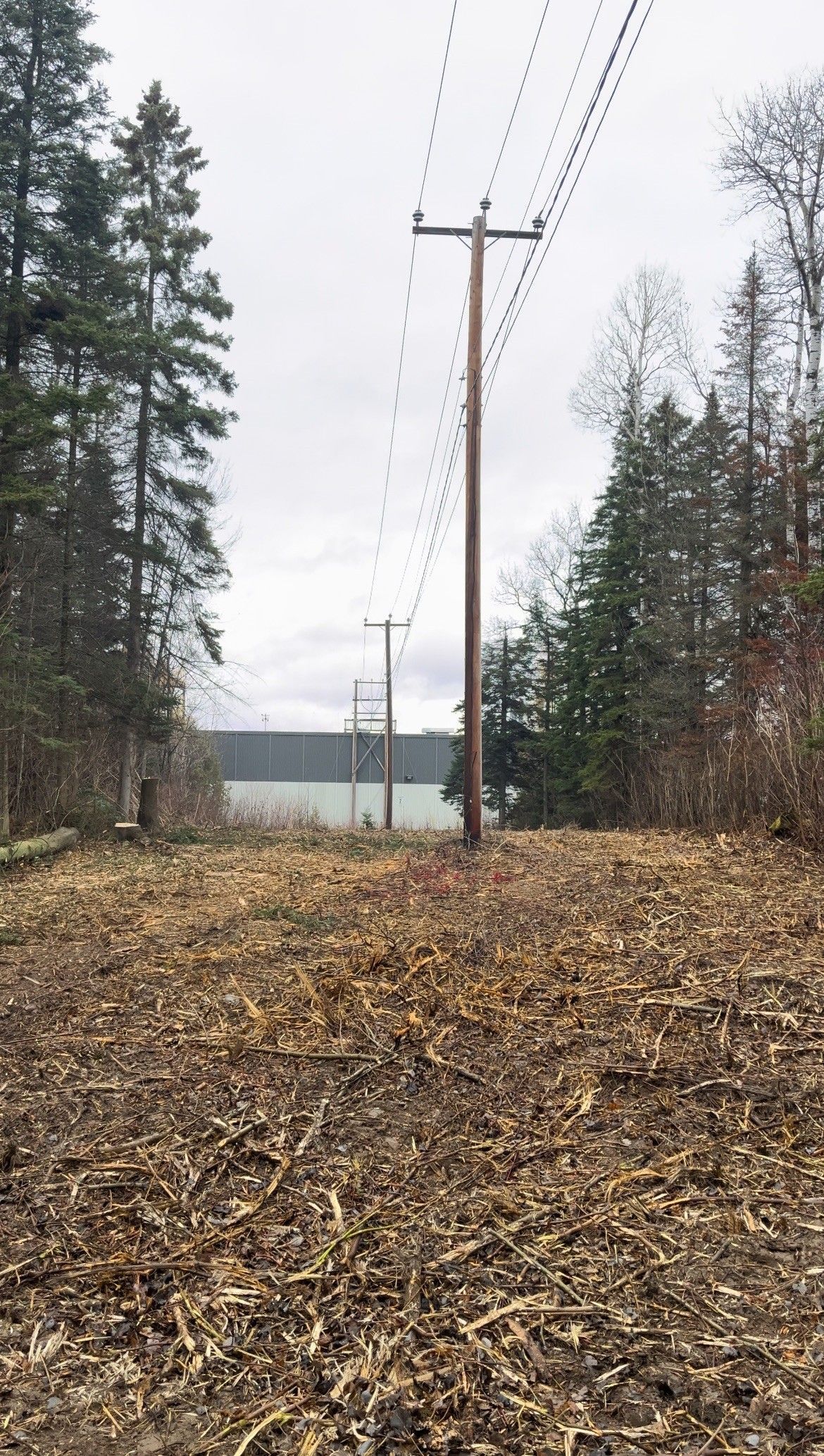 Un poteau téléphonique au milieu d'un champ avec un lac en arrière-plan.
