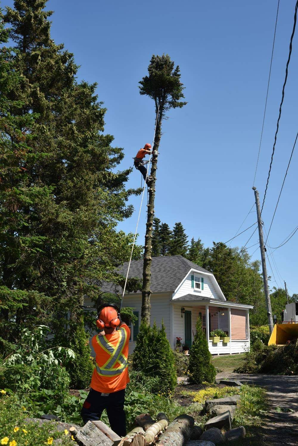 Un homme grimpe à un arbre devant une maison.