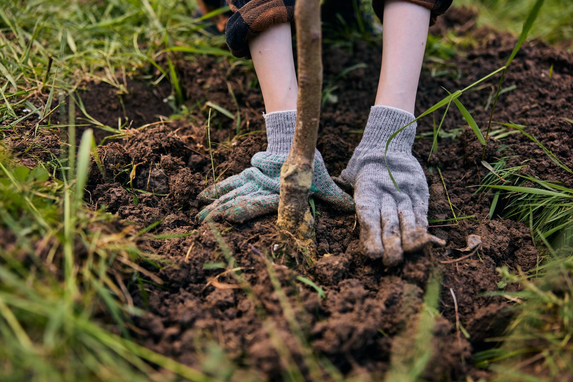 a person wearing gloves and gardening gloves digging in the dirt