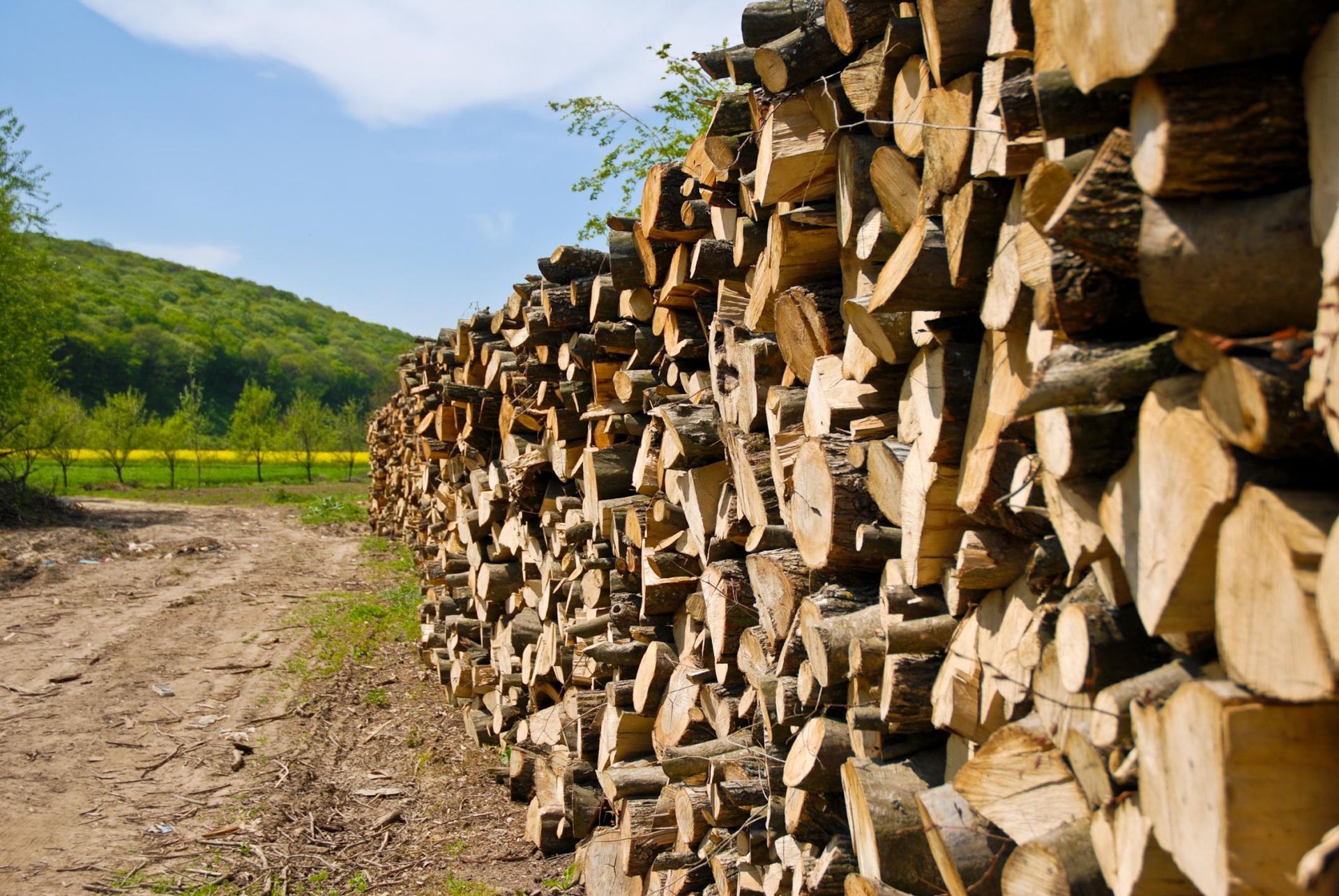 a pile of logs sitting on top of a dirt road