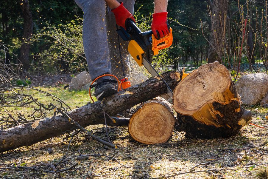 a man using a chainsaw to cut a tree