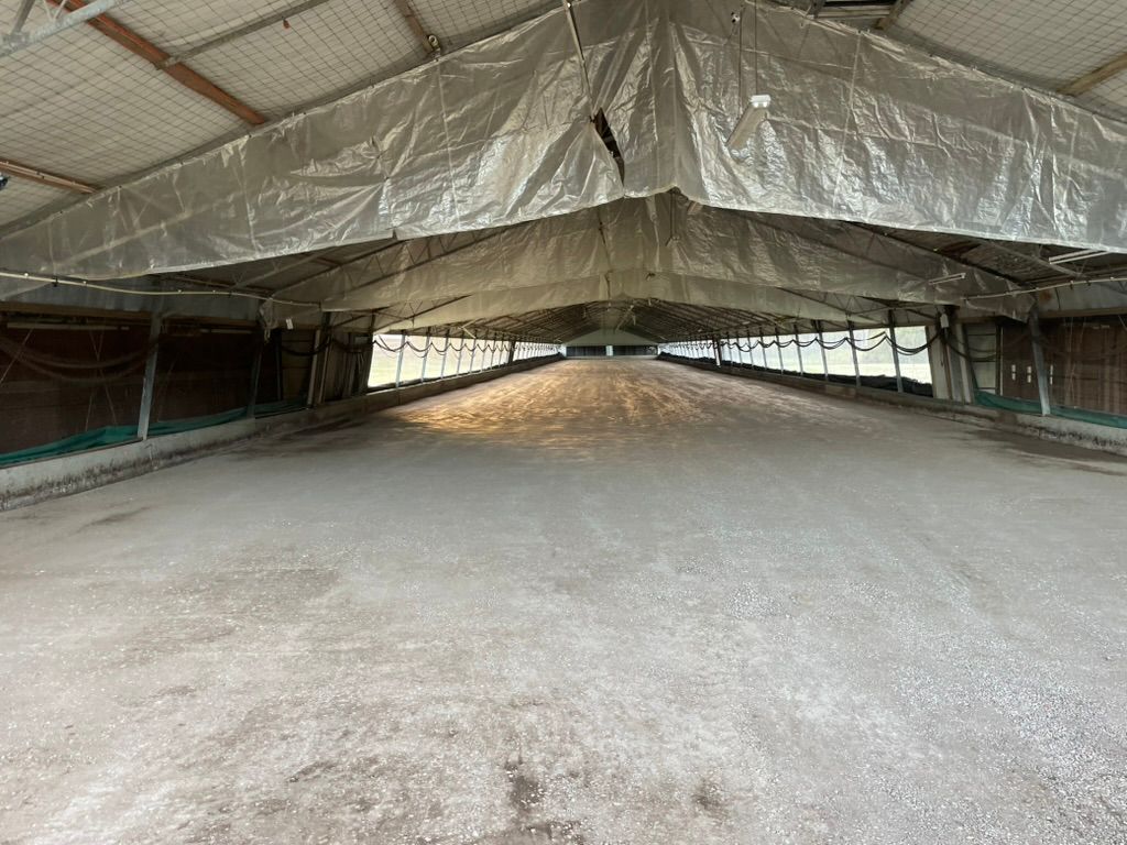 Before Commercial Concreting — Asphalt & Concreting Services & Solutions in Logan Village, QLD