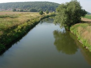 Ein von Gras und Bäumen umgebener Fluss mit einem Berg im Hintergrund.