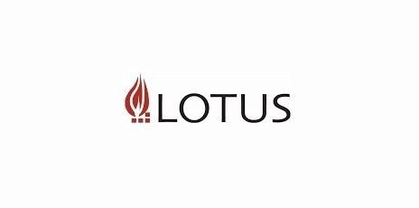 Lotus wood burning stoves and fires