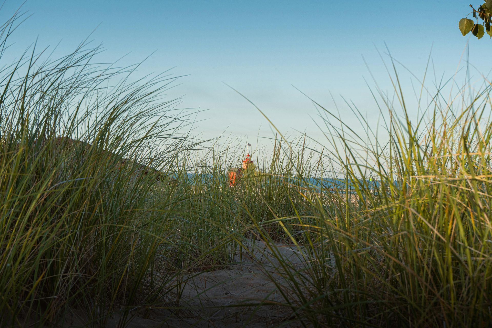 stikstofuitstoot bouwplaats