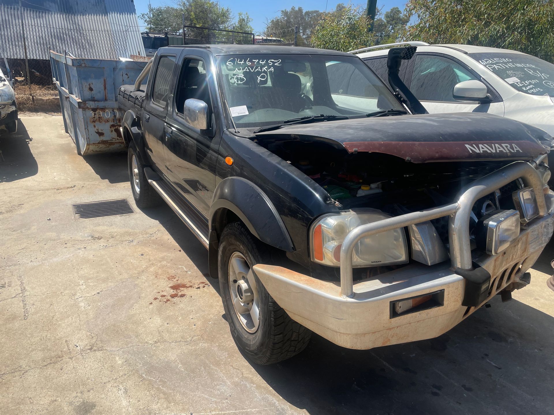 D22 Navara