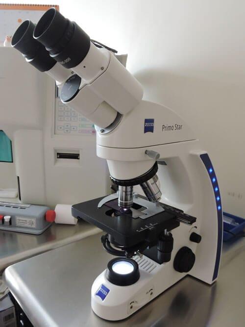 RADIOLOGÍA E IMAGEN LIZARRAGA SC-Densitometría ósea