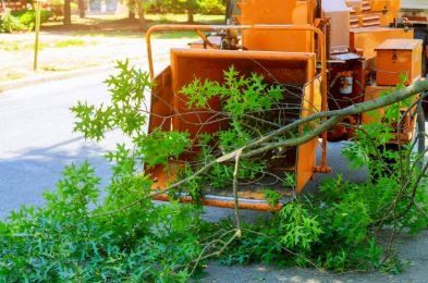 Branches Of A Trimmed Tree In A Wood Chipper — Columbia, SC — Affordable Carolina Tree Service