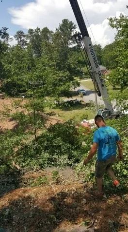 Workers Use A Crane For Tree Removal — Columbia, SC — Affordable Carolina Tree Service