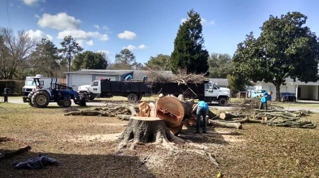 Pile Of Wood Logs — Columbia, SC — Affordable Carolina Tree Service