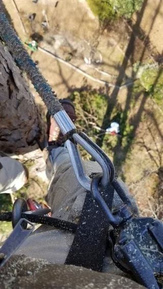 Tree Surgeon Using Lumberjack — Columbia, SC — Affordable Carolina Tree Service