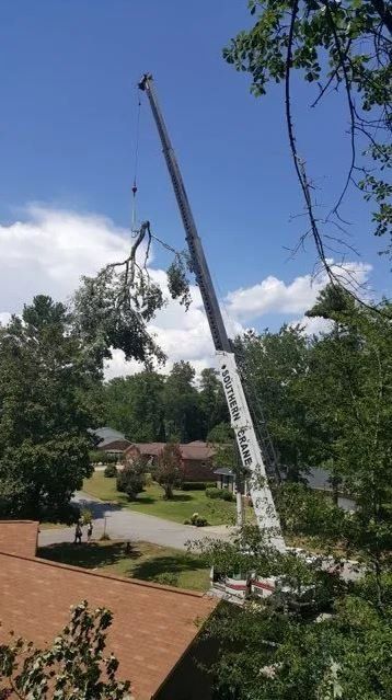 Cutting Trees Using Crane — Columbia, SC — Affordable Carolina Tree Service