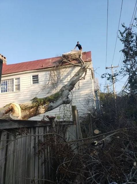 House Damaged By Fallen Tree — Columbia, SC — Affordable Carolina Tree Service