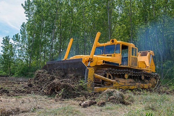 Land Clearing Service — Columbia, SC — Affordable Carolina Tree Service