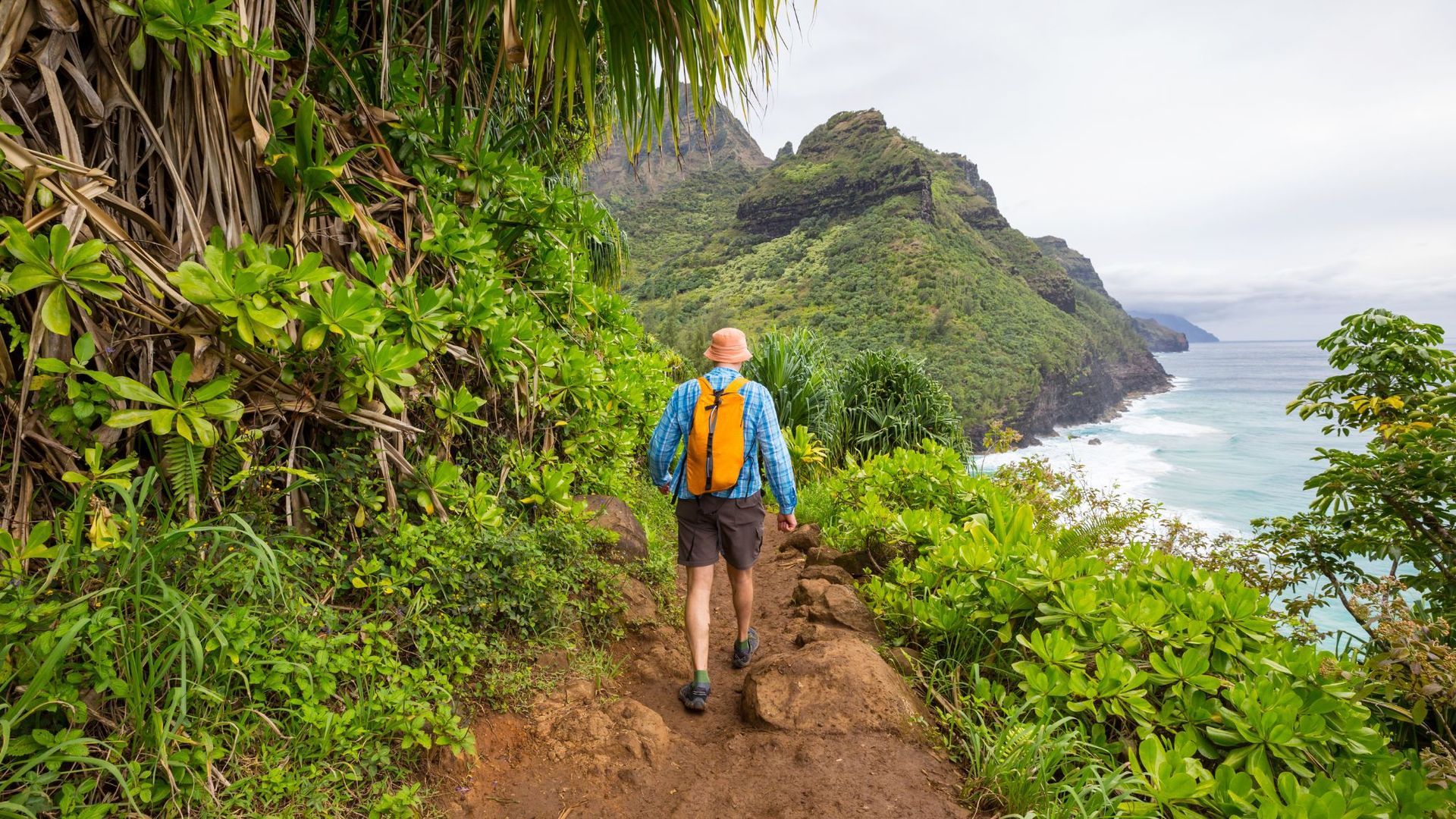 Best Hikes in Maui for Every Fitness Level