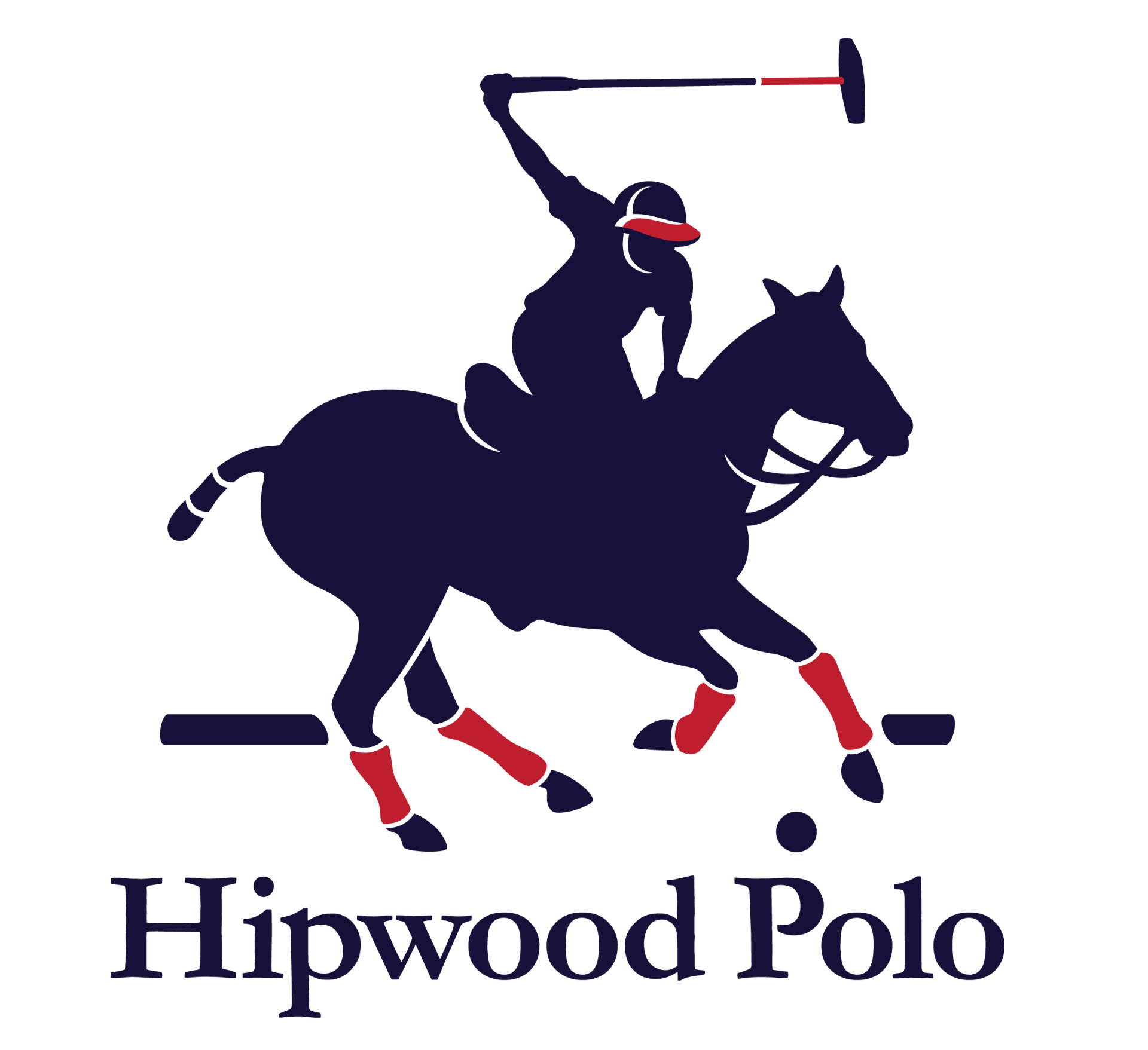 Winter Polo in the RCBPC Arena