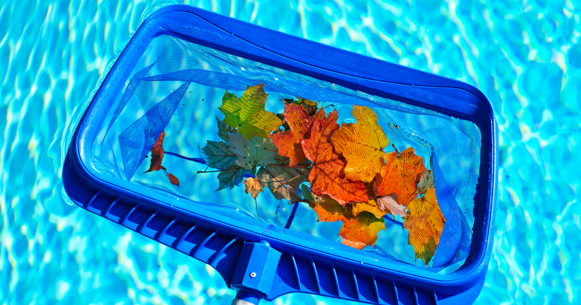 Expert Tips for Closing Your Pool for the Season from Superior Pools