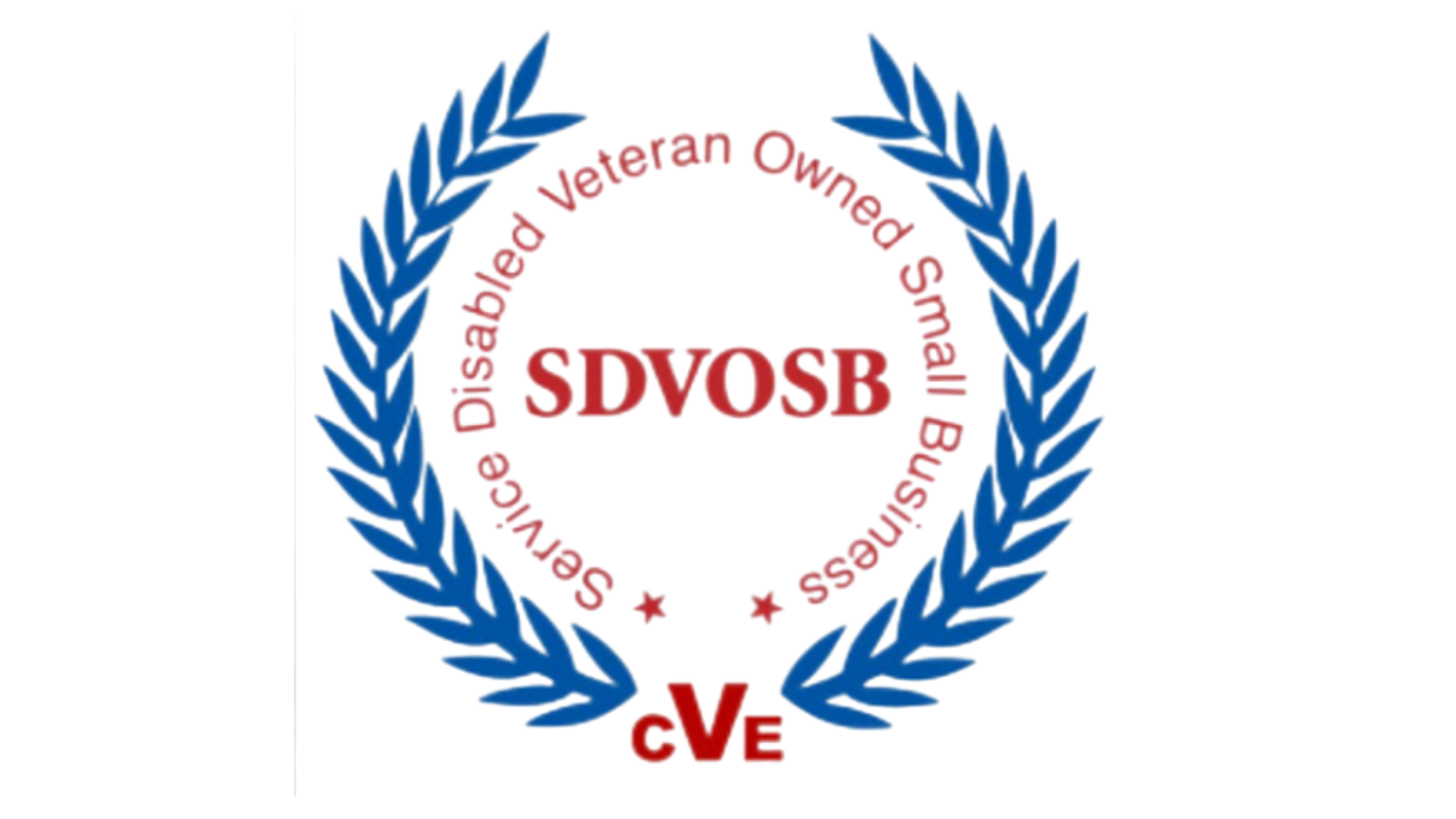 A logo for disabled veteran owned small business