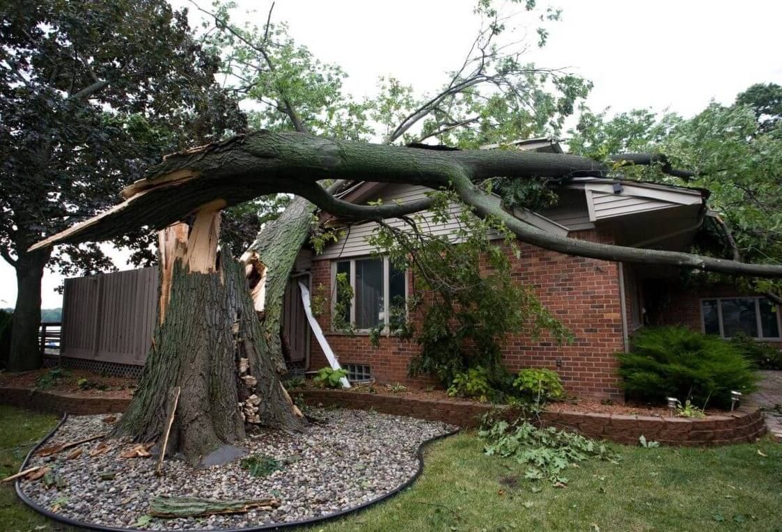 A large tree fallen on a brick house, partially demolishing the roof and surrounding landscaping.